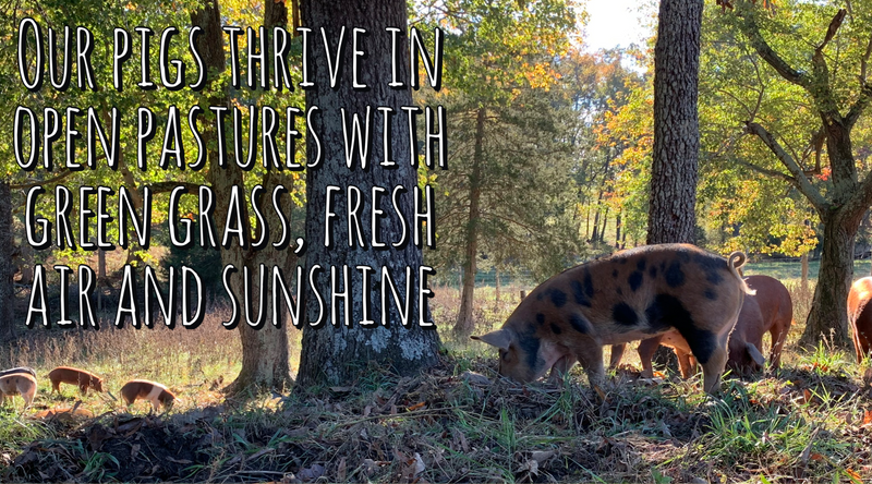 Pasture Raised Pork